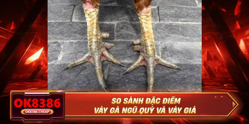 So sánh đặc điểm vảy gà ngũ quý và vảy giả